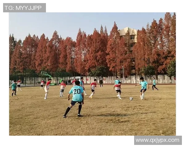 1994年崭露头角的年轻足球球星:激情与梦想交织的黄金时代 1994年崭露头角的年轻足球球星:激情与梦想交织的黄金时代